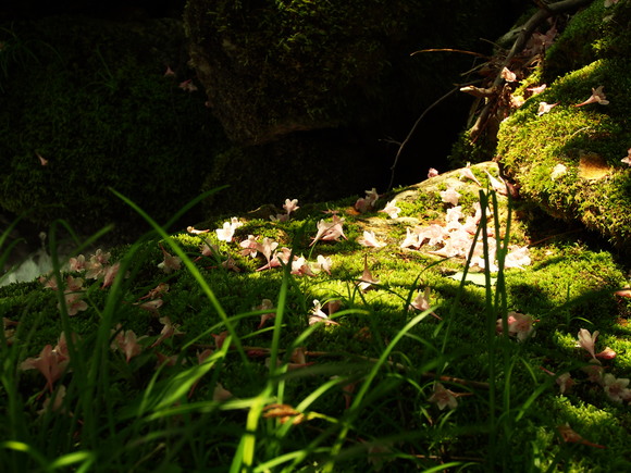 f0213796_22304130.jpg