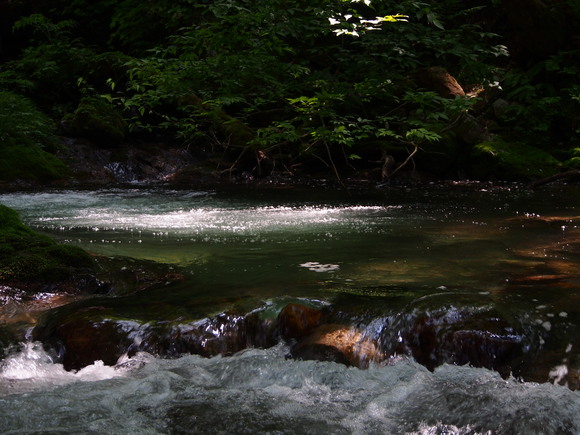 f0213796_22314735.jpg