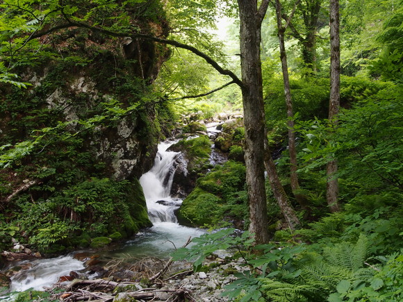 f0213796_223223100.jpg