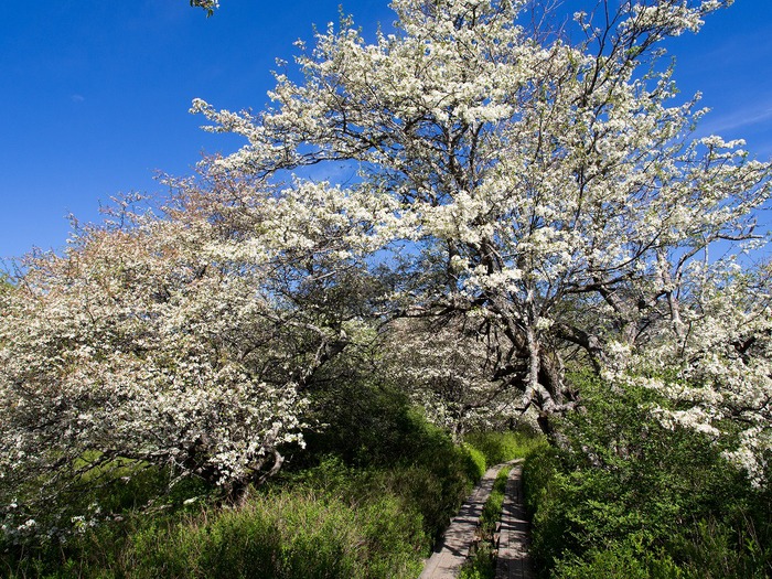 f0224100_23131354.jpg