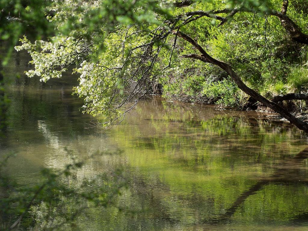 f0224100_23232756.jpg