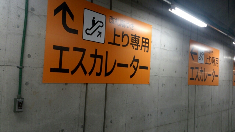 c0202101_2311169.jpg