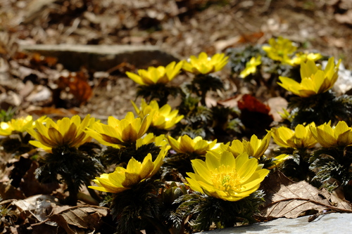 e0304001_013550.jpg