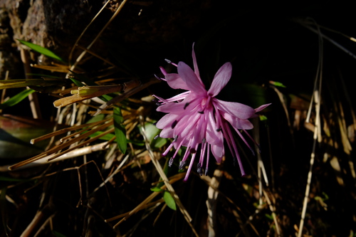 e0304001_05462.jpg