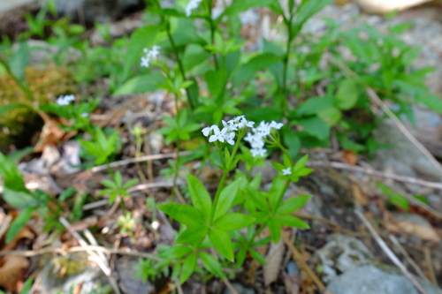 e0304001_09813.jpg