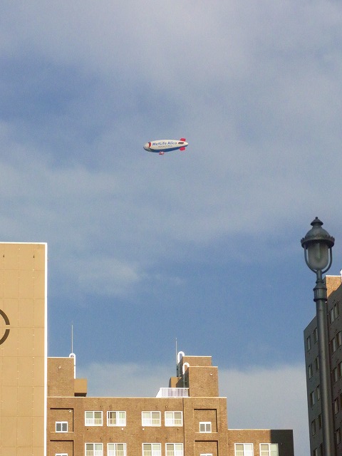 f0157901_17535075.jpg