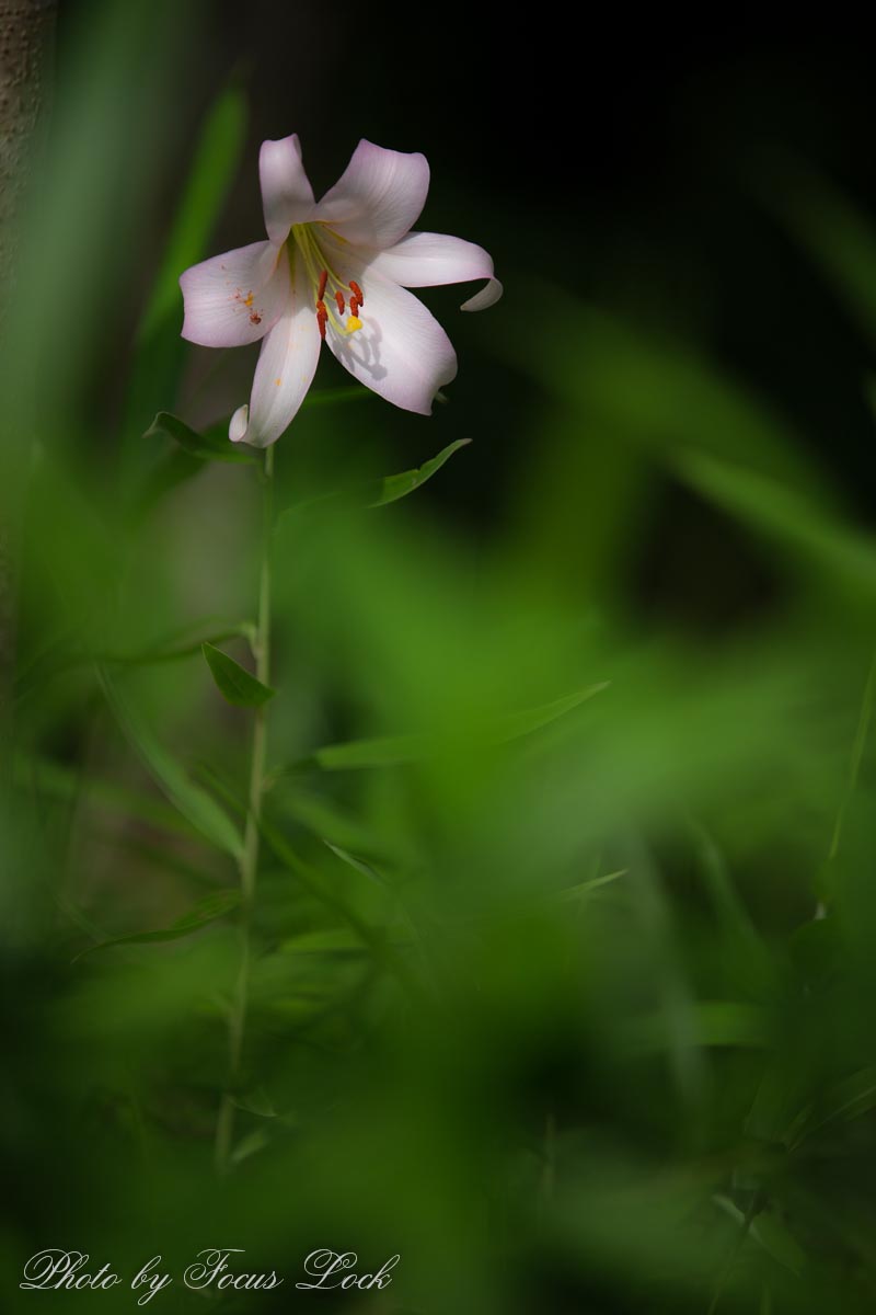 f0220502_2031790.jpg