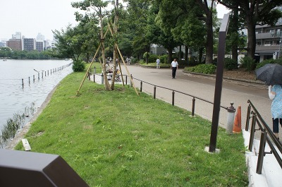 b0190603_14313619.jpg