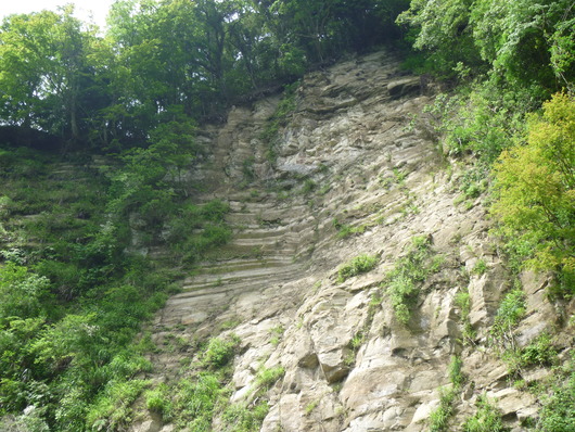 a0298406_15581441.jpg