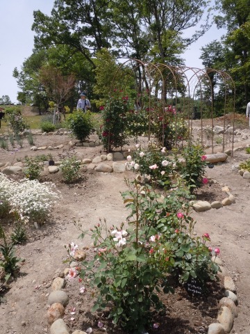 c0117007_21592651.jpg