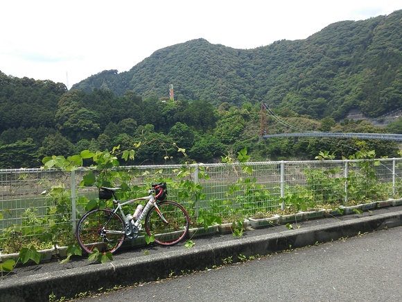 f0219810_21165075.jpg