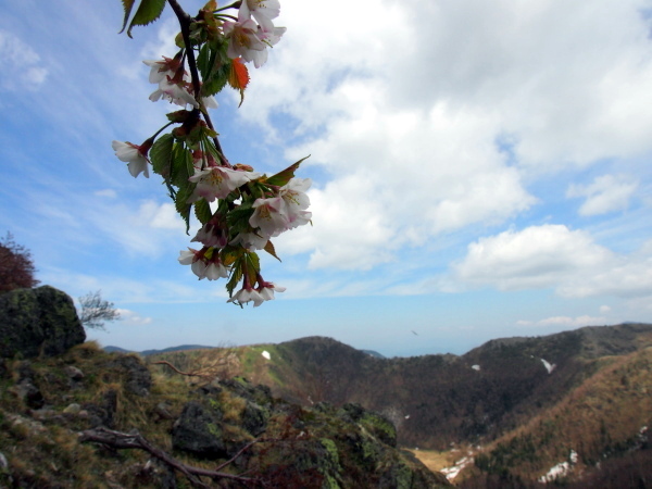 b0244811_23461920.jpg