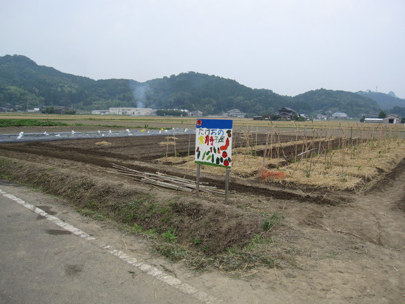 d0122515_11202528.jpg