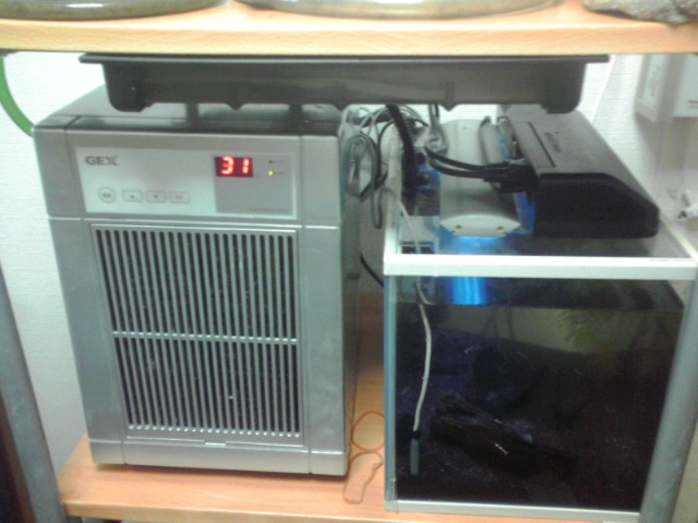 a0291521_1281650.jpg