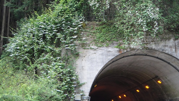 f0000521_6222223.jpg