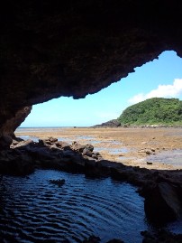 f0142821_8384951.jpg