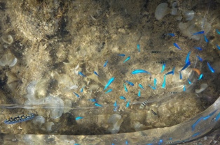 f0142821_8474770.jpg