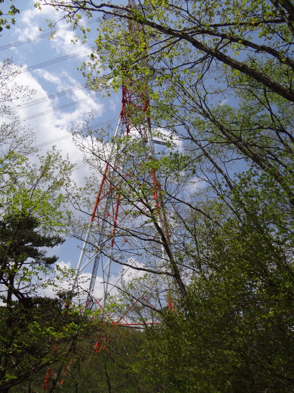 c0085622_6264828.jpg