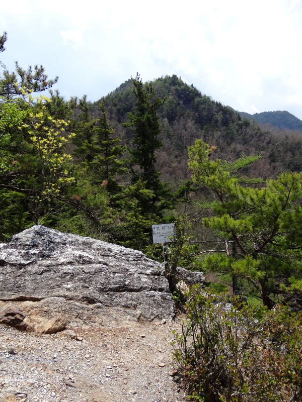 c0085622_627127.jpg