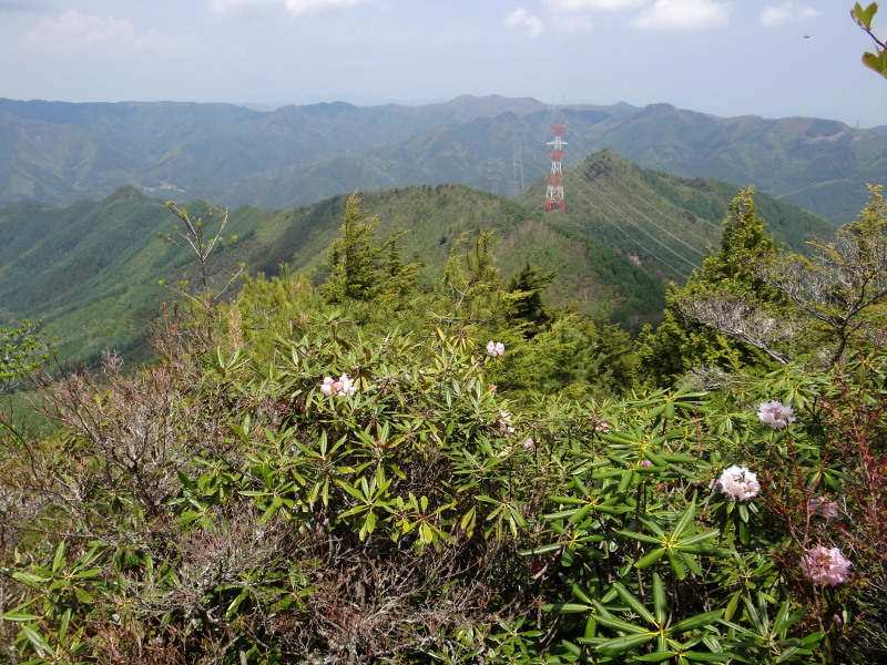 c0085622_627687.jpg