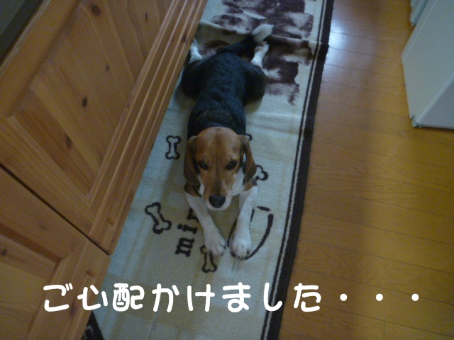 c0166622_17832.jpg