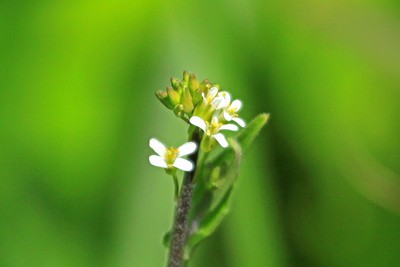 c0104227_8493438.jpg