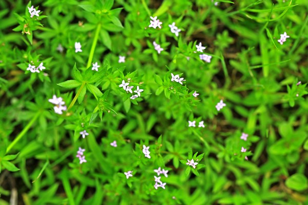 c0104227_9125548.jpg