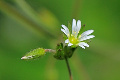c0104227_9254930.jpg