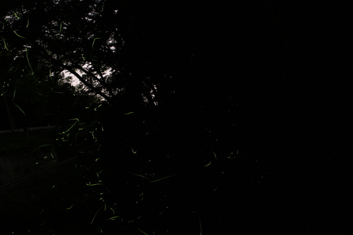 c0034029_0583516.jpg
