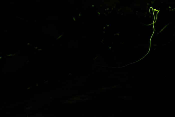 c0034029_10104.jpg