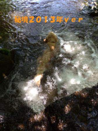 f0176830_12174272.jpg