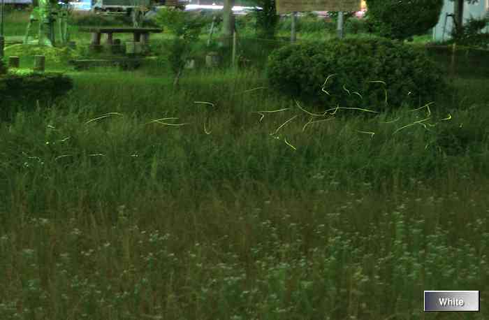 c0227134_2340992.jpg