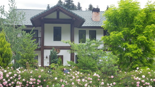 c0300035_16204935.jpg