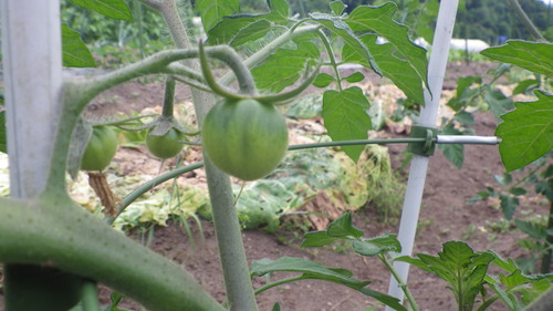 c0300035_16485452.jpg