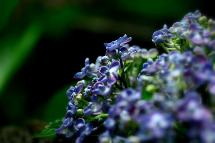 d0241937_1757410.jpg
