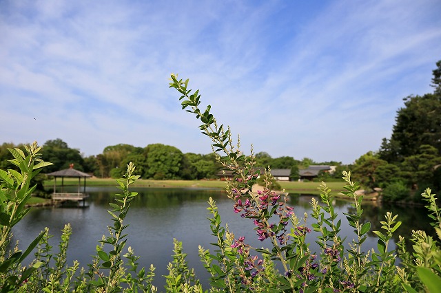 a0242438_19282317.jpg