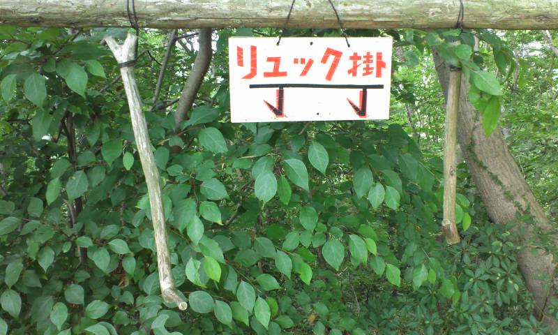 d0107938_1256581.jpg