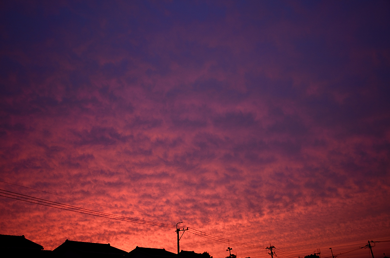e0055138_23551138.jpg