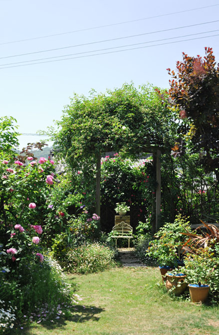 b0075541_14321126.jpg