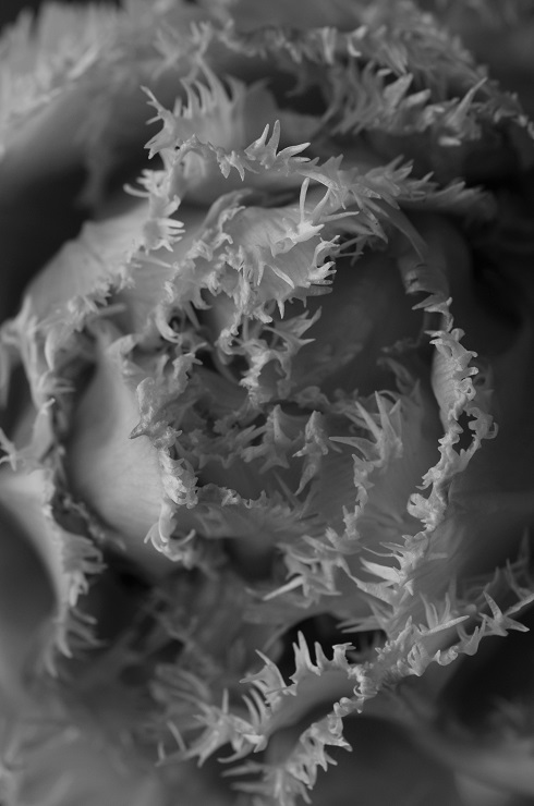 d0165741_1220359.jpg