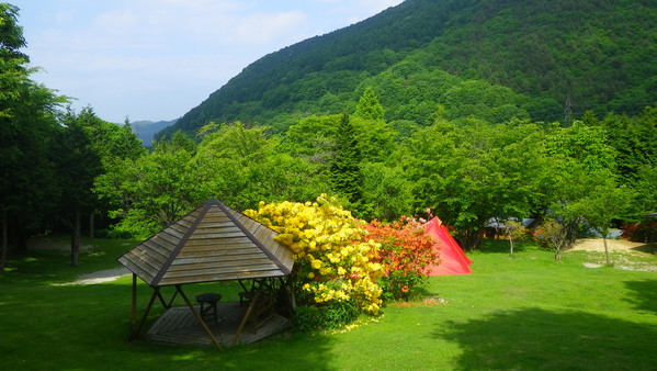 c0042847_920076.jpg