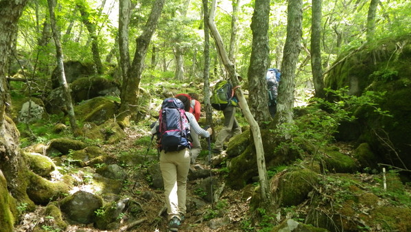 c0042847_9354286.jpg