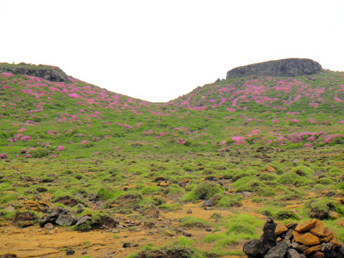 c0179351_18563051.jpg