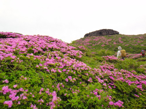 c0179351_18572356.jpg