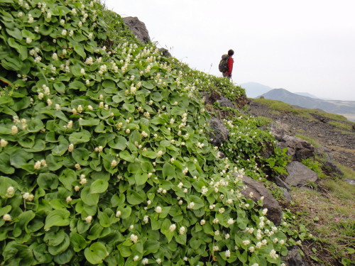 c0179351_19155881.jpg