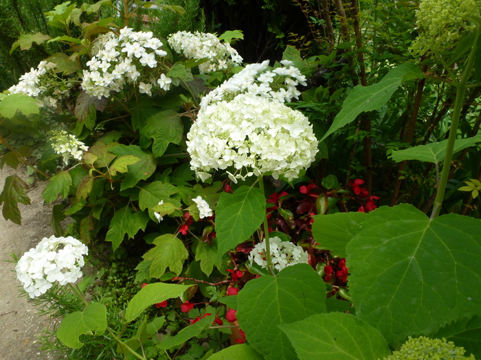 c0238354_1541686.jpg