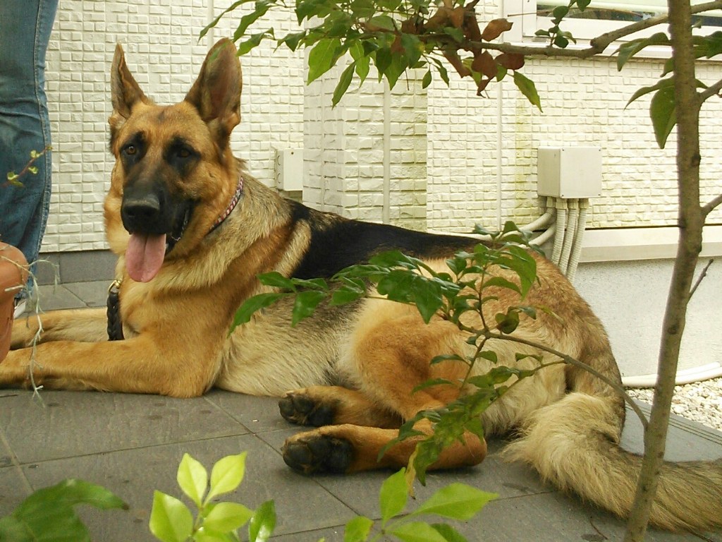 f0177261_94230100.jpg