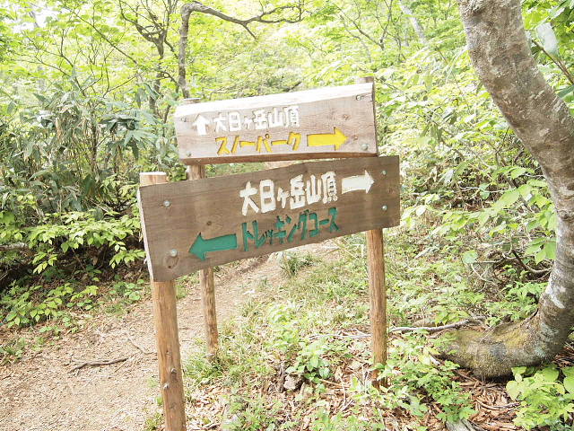c0022275_1029496.jpg