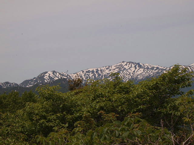 c0022275_10335172.jpg