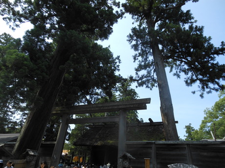 c0206177_8362632.jpg